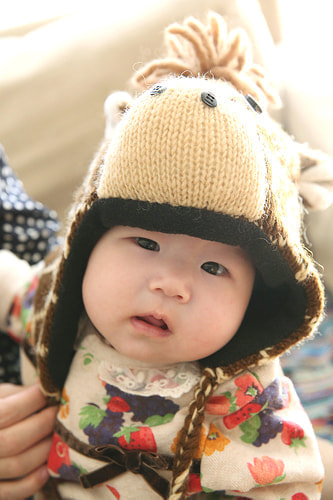 お宮参り写真 自宅 新田神社 赤ちゃん、アニマル帽子