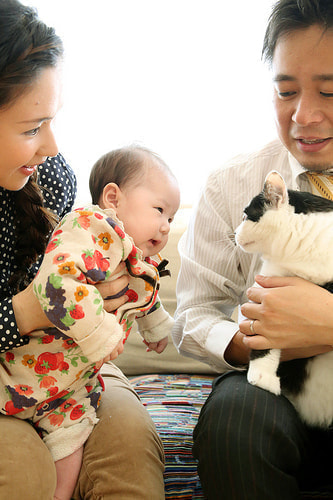 お宮参り写真 自宅 新田神社 猫と赤ちゃん、パパ、ママ