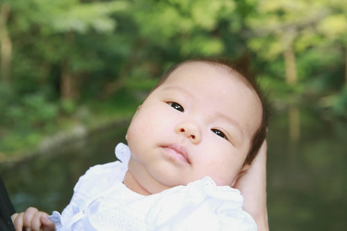 お宮参り写真 撮影場所 鎌倉 鶴岡八幡宮 赤ちゃんのおめめぱっちり、綺麗な緑の背景