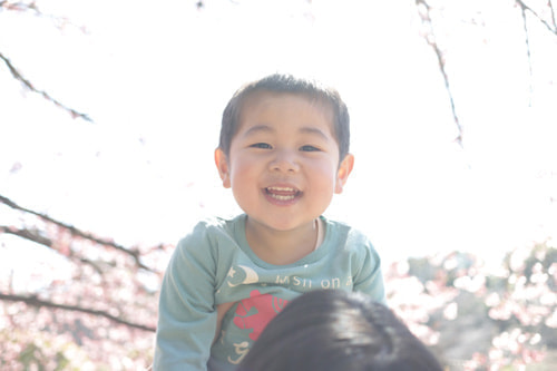 新宿御苑 家族写真 桜