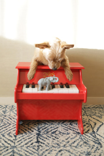 VILACのピアノと犬
