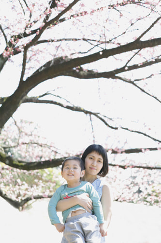 新宿御苑 家族写真 桜