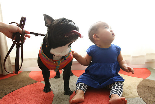 １歳バースデー