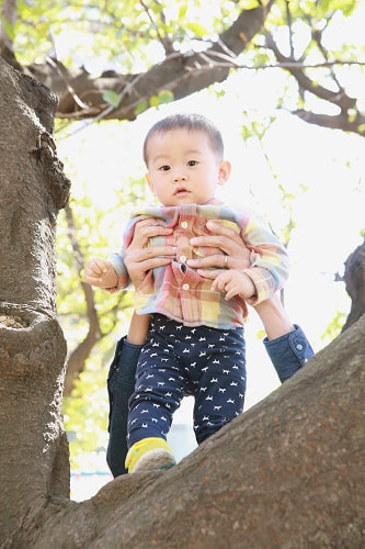 一歳バースデーフォト