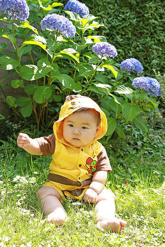 ハーフバースデー