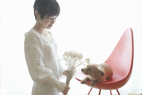 ブライダル(エンゲージメントフォト)写真 撮影場所 海(湘南) 自宅