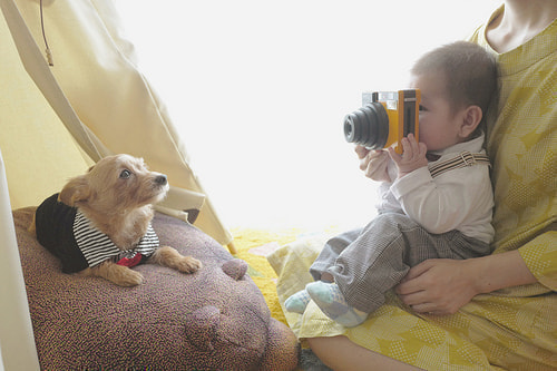 ハーフバースデー