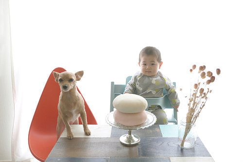 １歳バースデーフォト１８