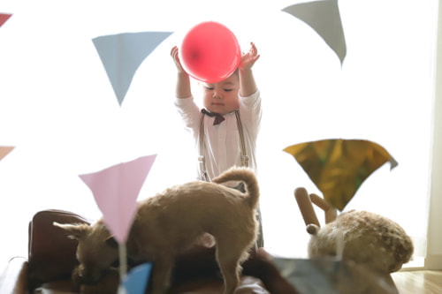 子供、春、おしゃれ写真、デコレーション２８