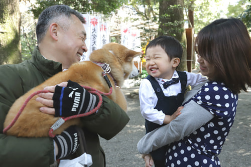 お宮参り写真 撮影場所 大宮八幡宮２０