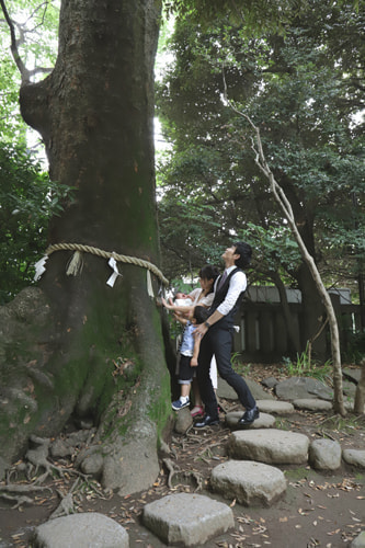 お宮参り写真 撮影場所 川越氷川神社１３