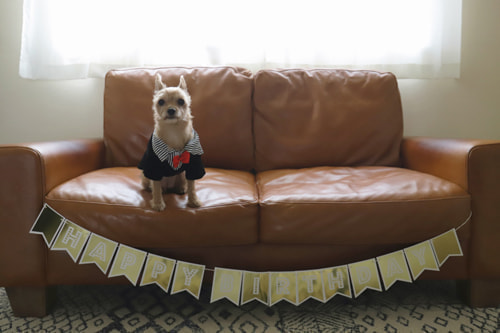 ２歳バースデーフォト８