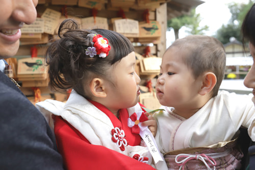 七五三写真 撮影場所 師岡熊野神社４５