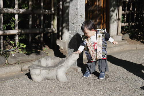 冬の出張撮影３