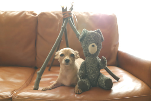 ヴィンテージのテディベアー