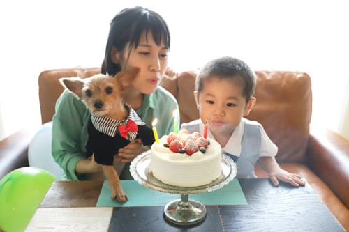 3歳バースデーフォト