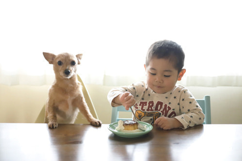 柳宗理のカトラリー