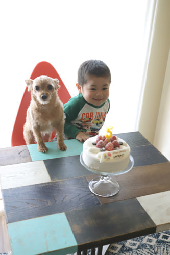 5歳バースデーフォト