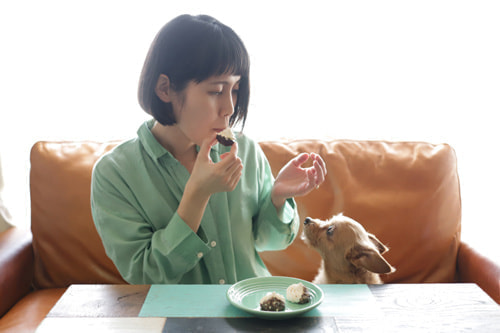 個性的な花とメレンゲ 