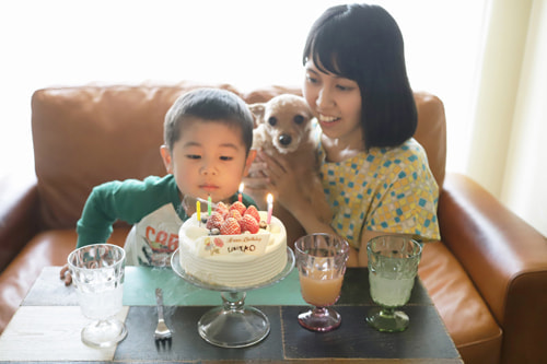 犬の誕生日