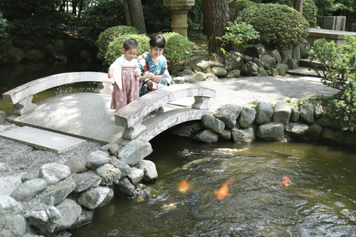 横濱水天宮・太田杉山神社 撮影許可