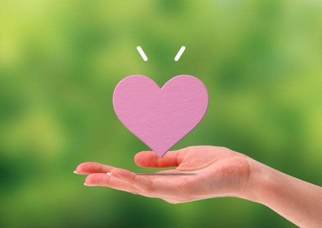 赤坂日枝神社 撮影許可