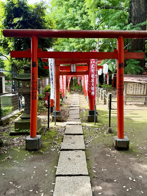 雑司ヶ谷・鬼子母神堂 撮影許可