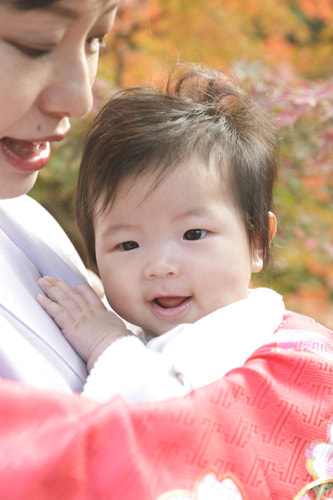 鶴岡八幡宮の撮影スポット 赤い橋と絵馬と木々