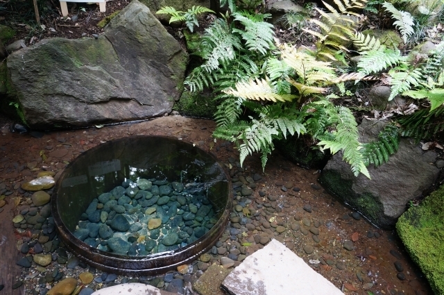 明治神宮 撮影スポット 明治神宮御苑・清正井