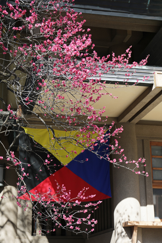 東郷神社撮影ポイント 社殿