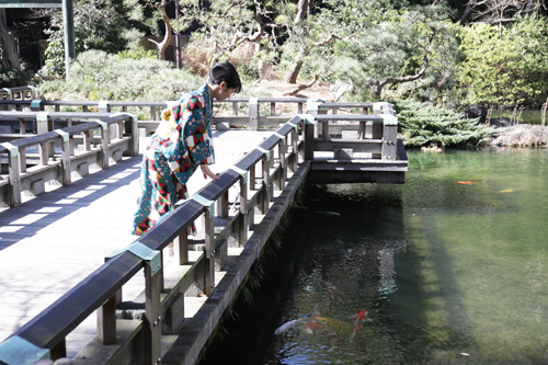 東郷神社撮影ポイント 東郷記念館庭園