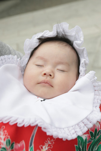 阿佐ヶ谷神明の撮影スポット 拝殿