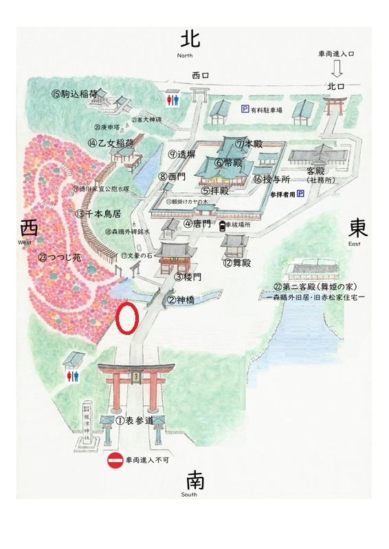 根津神社の撮影スポット つつじ苑前