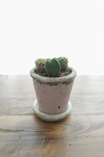 テーブルウェア