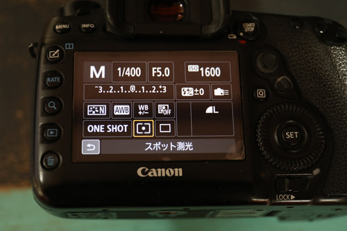 逆光｜写真テクニックガイド