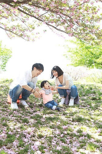 桜をおしゃれに撮るアイデア