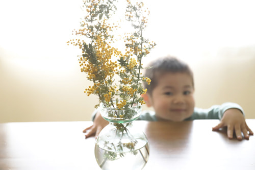 EOS 5D Mark IV｜作例｜ライカとの比較