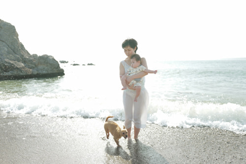 マニュアル撮影の作例｜走る犬を被写体ブレさせず撮る