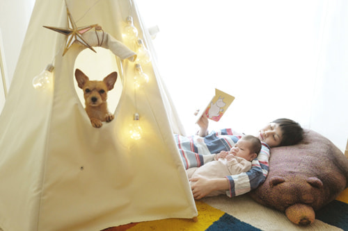 LeicaQ typ116 Summilux28mm F1.7 ASPH｜作例｜犬と赤ちゃん