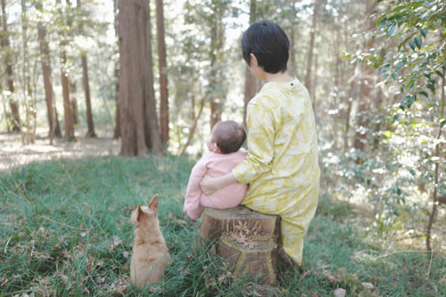 LeicaQ typ116 Summilux28mm F1.7 ASPH｜作例｜冬の森