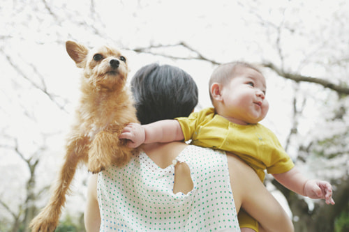 LeicaQ typ116 Summilux28mm F1.7 ASPH｜作例｜冬の森