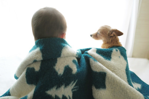 LeicaQ typ116 Summilux28mm F1.7 ASPH｜作例｜赤ちゃんと犬