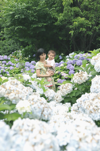 紫陽花のおしゃれな撮り方｜紫陽花に囲まれるポートレート