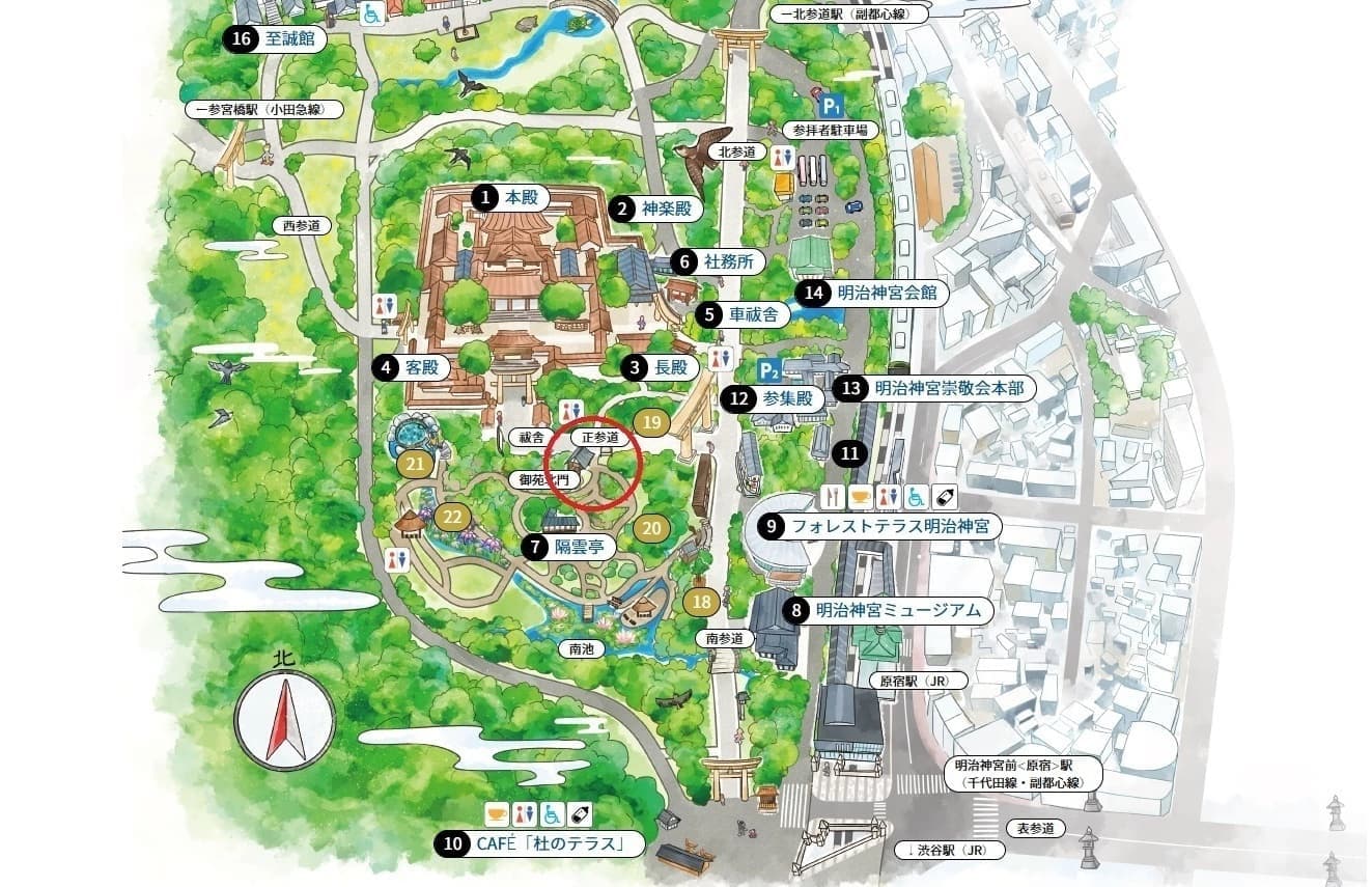 明治神宮の写真スポット｜美しく撮れるおすすめ撮影ポイント｜明治神宮御苑