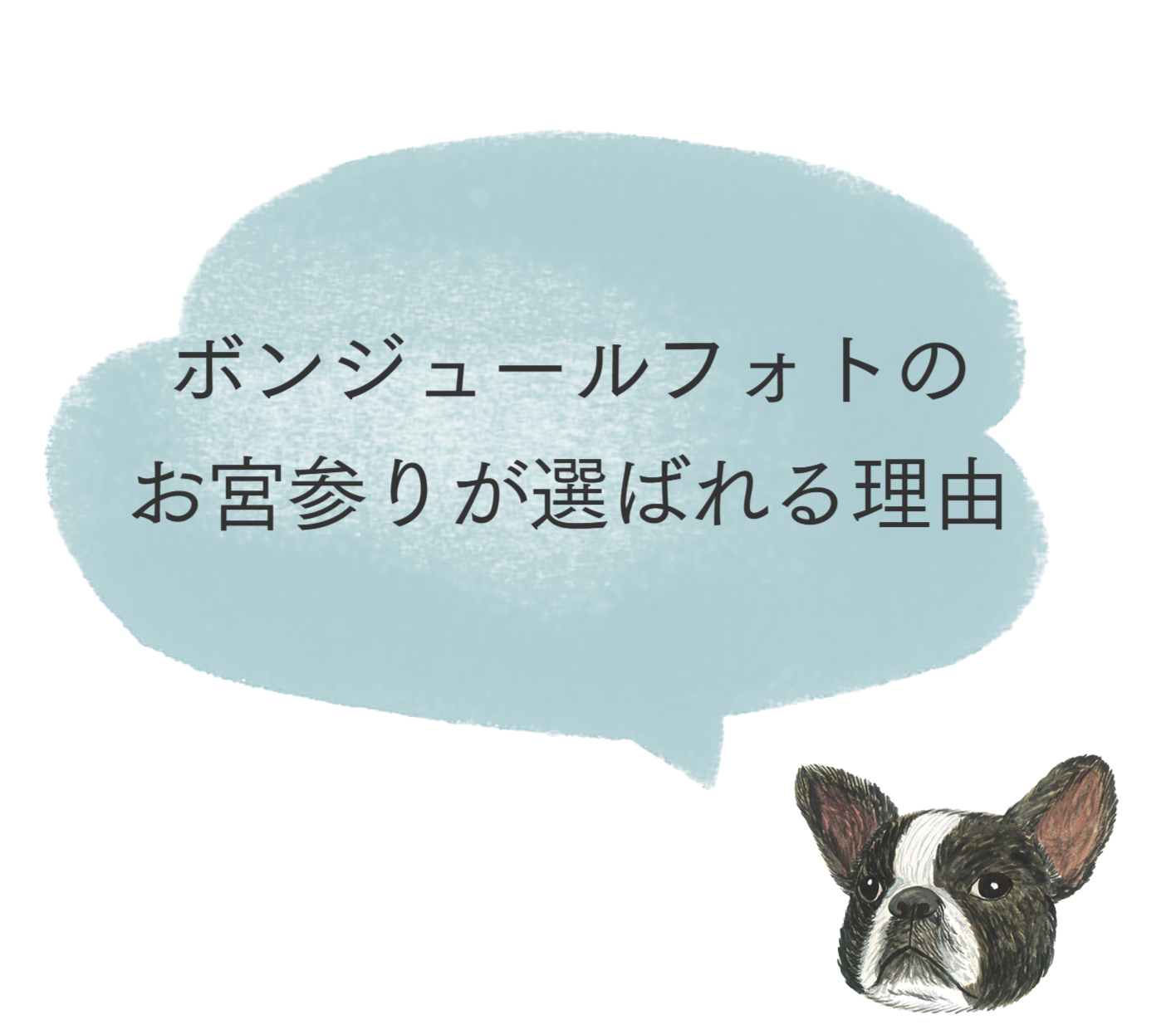 ボンジュールフォトのお宮参り出張撮影が選ばれる理由