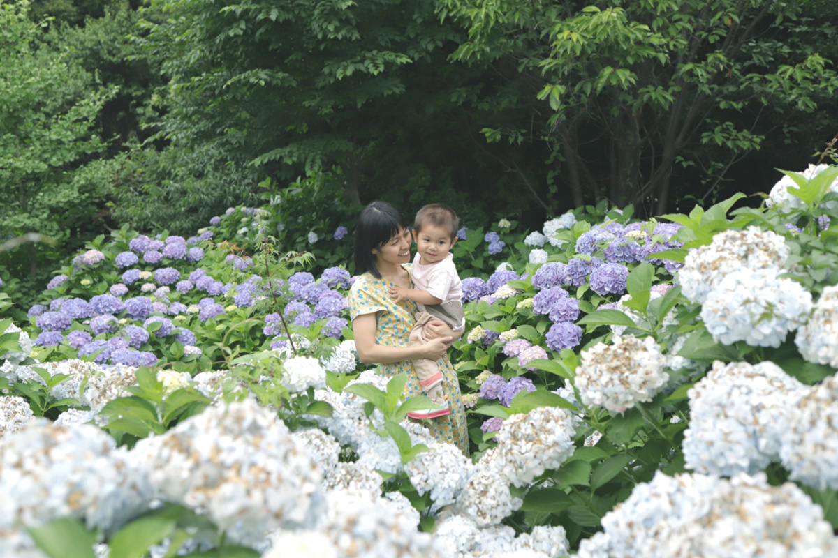 お食い初め、百日祝いの写真