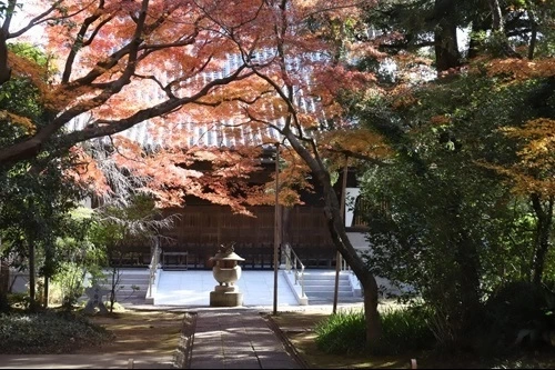 神奈川・横浜の出張カメラマンによる写真教室