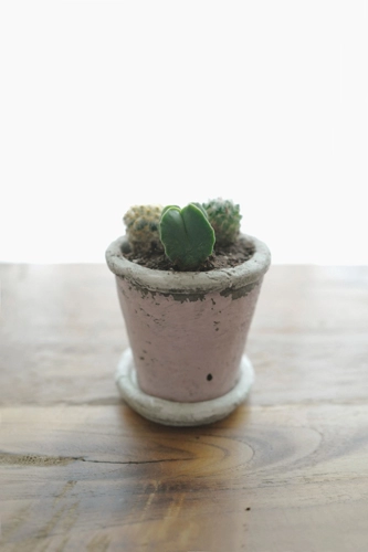 神奈川・横浜の出張カメラマンによる写真教室