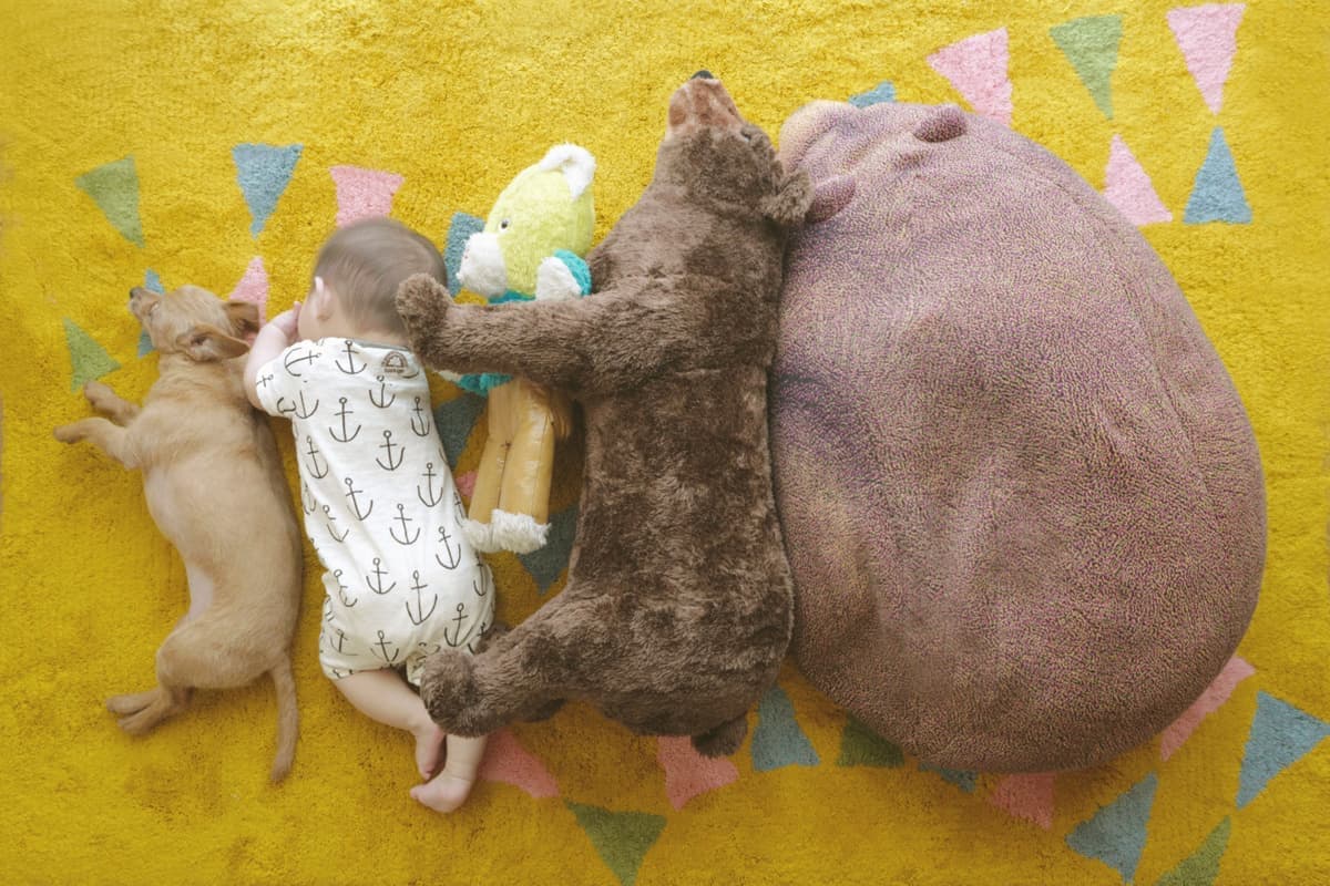 おしゃれな家族写真